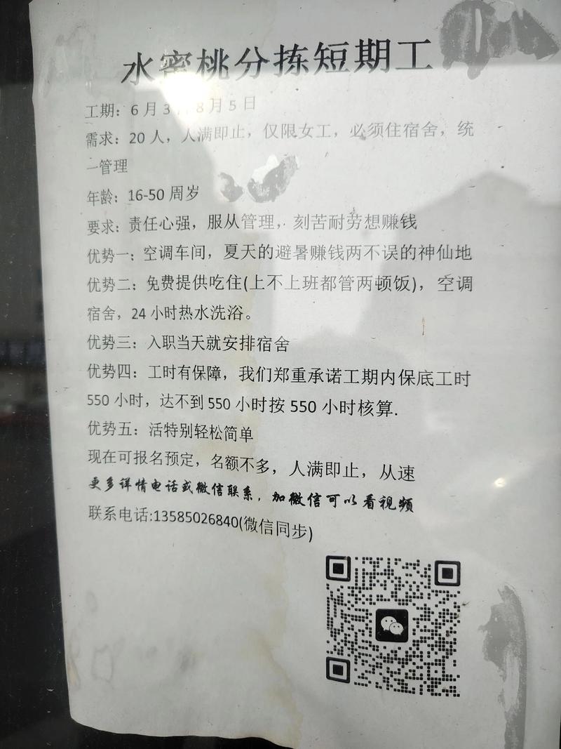 桂阳人才招聘:如何避免信息陷阱